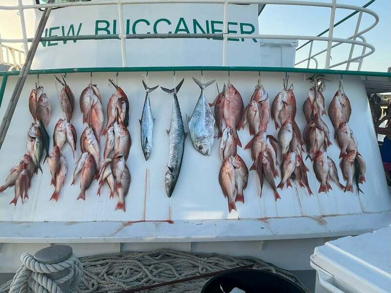 The New Buccaneer has been busy lately!