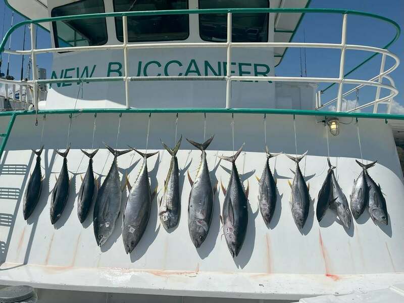 Fish report!