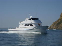 Friedman Adventures on the Apollo out of Seaforth Sportfishing! Few sp