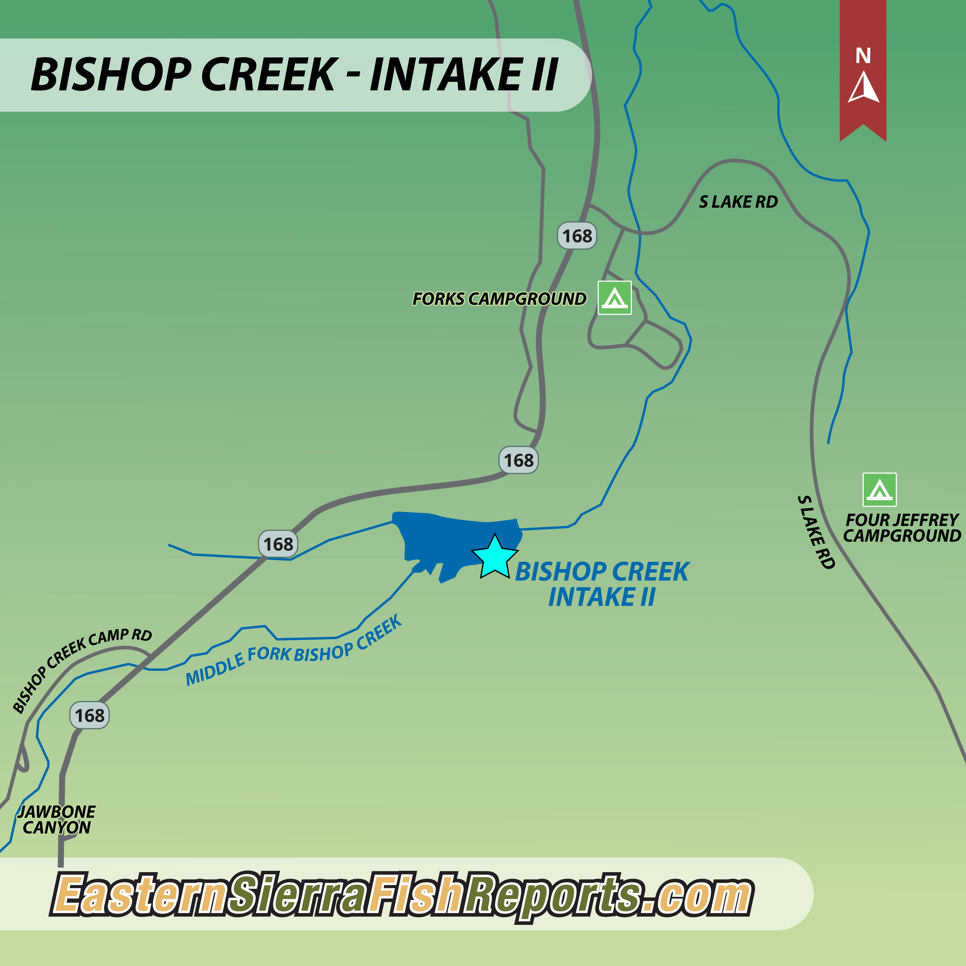 Creek Intake II Fish Report CA (Inyo County)