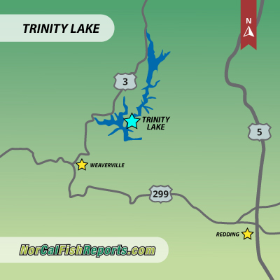 Trinity Lake - Trinity Center, CA - Fish Reports & Map