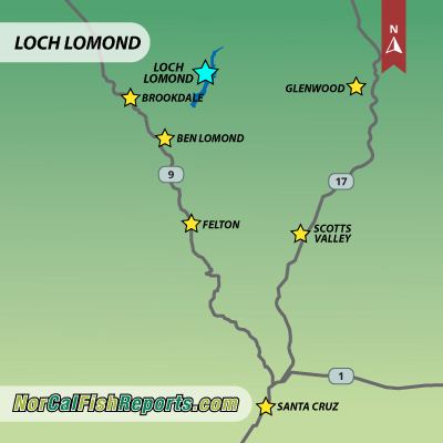 Loch Lomond Fish Report - Loch Lomond - Loch Lomond Fish Report
