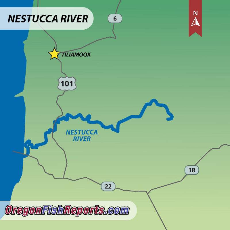 Nestucca River Nestucca River and Three Rivers Fishing Report