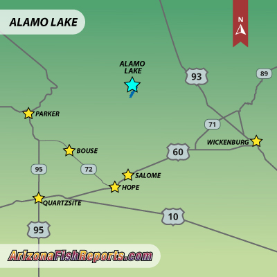 Alamo Lake - Fish Reports & Map