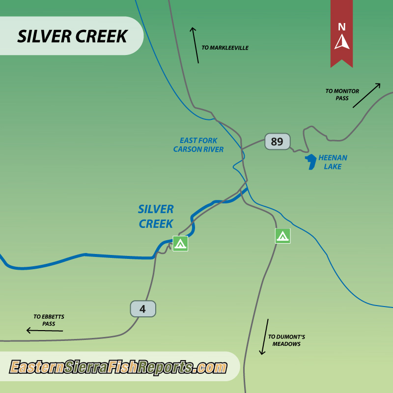 Silver Creek Fish Report - Ebbets Pass Highway 4, CA (Alpine County)