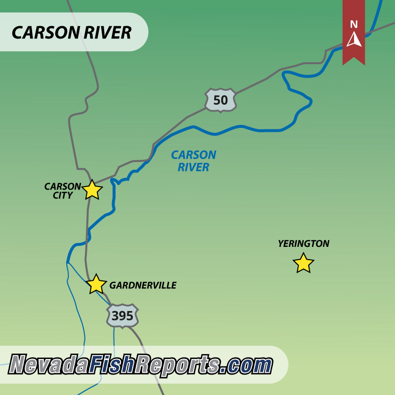 carson river