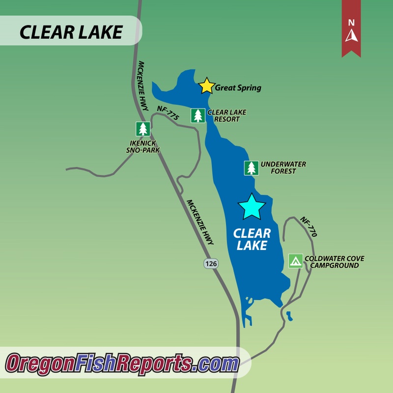 Clear Lake Oregon Map Of Mckenzie