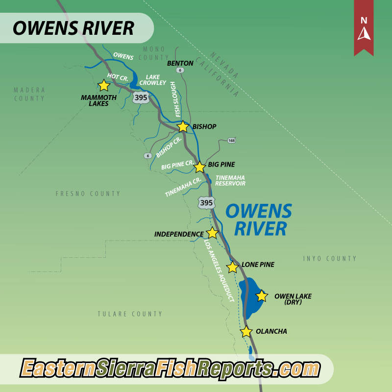 Owens River - Fish Reports & Map