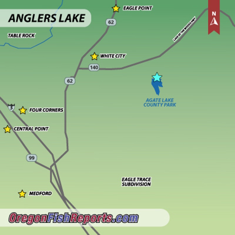 Agate Lake - Lots of Carp in Agate - September 18, 2024