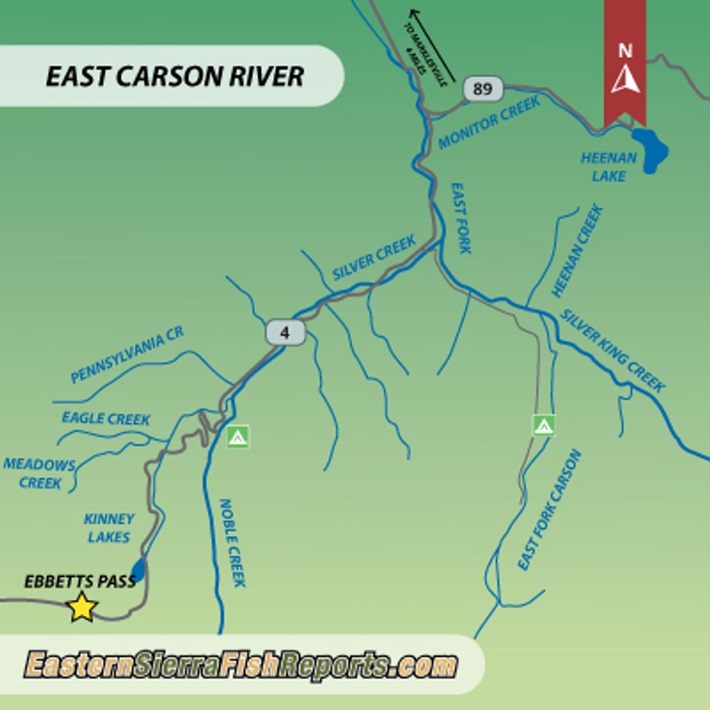 East Carson River (CA) Fish Report - Markleeville, CA (Alpine County)