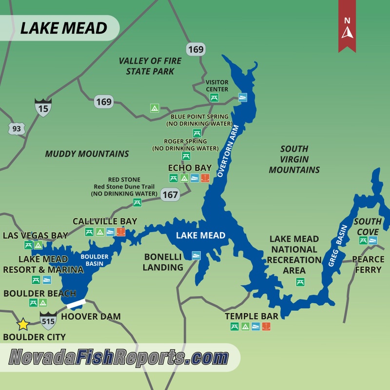 lake mead shore fishing spots