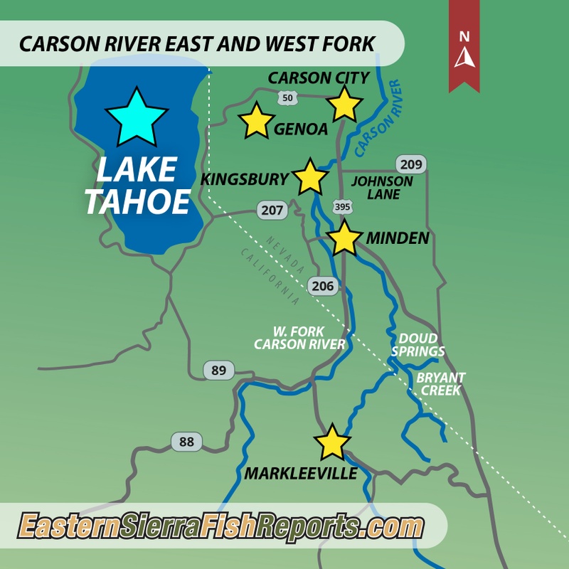 East Carson River (NV) Fish Report - Minden, NV (Douglas County)