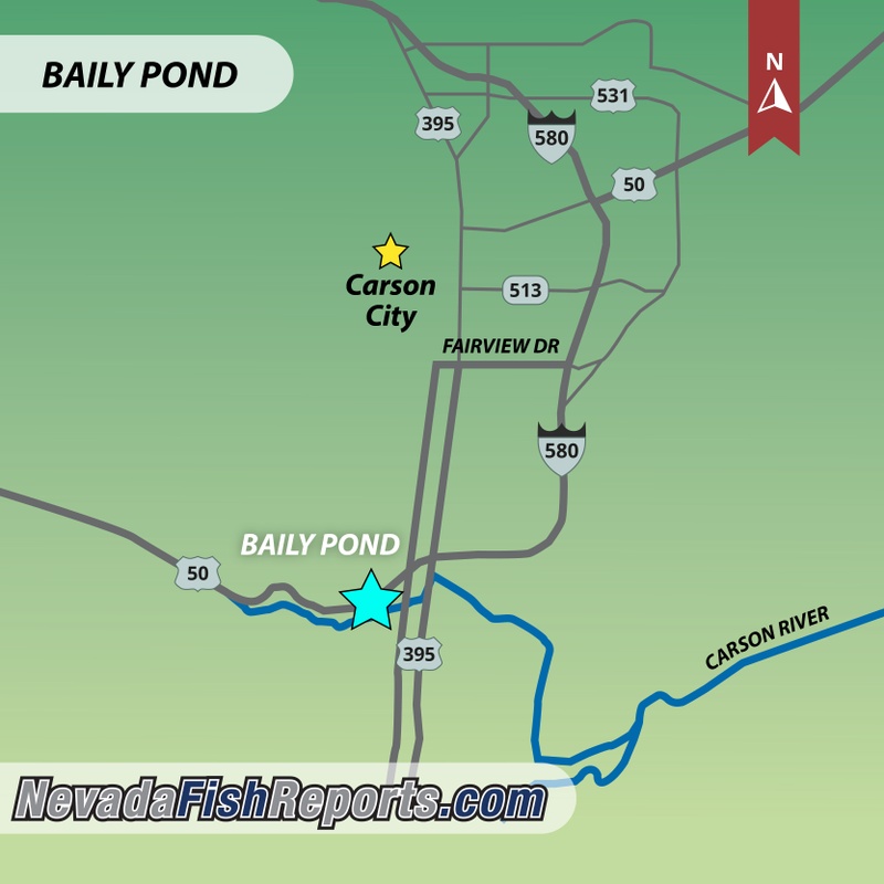 Baily Fishing Pond Fish Report - Carson City, NV (Carson City County)