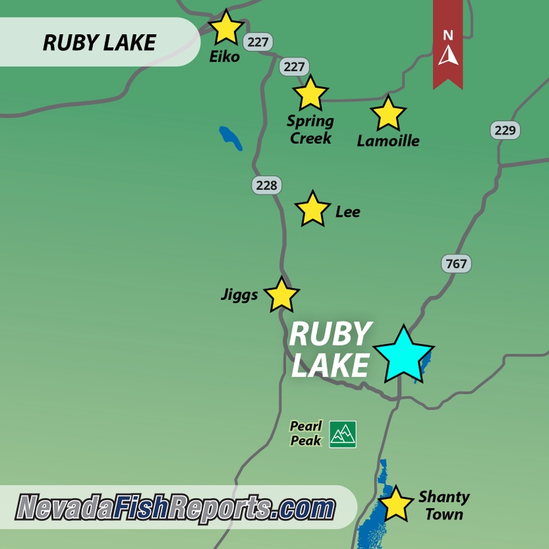 Ruby Lake NWR Fish Report - Elko, NV (Elko County)