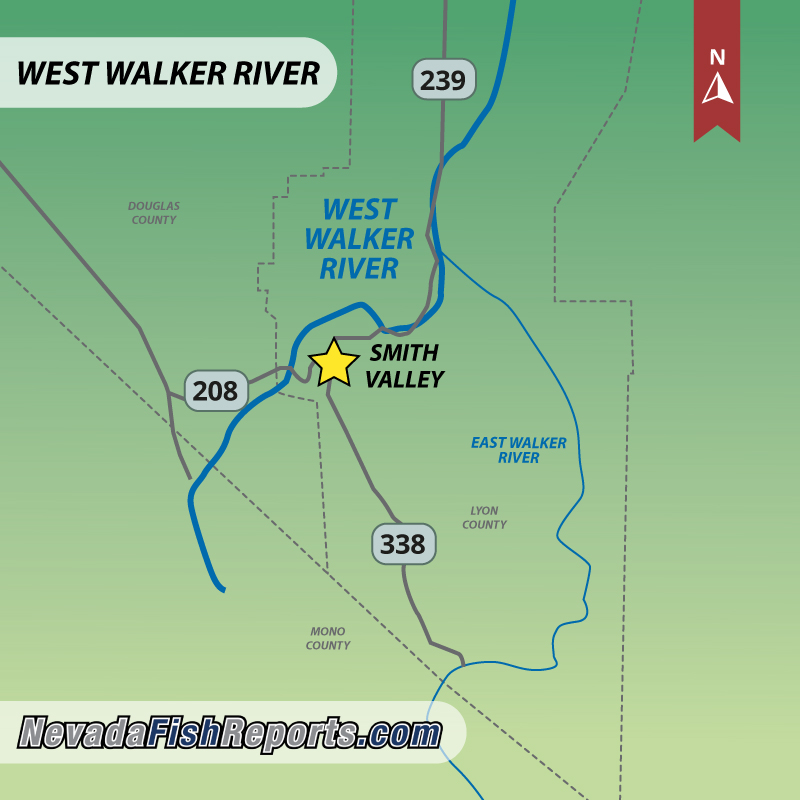 West Walker River (NV) - Wellington, NV - Fish Reports & Map