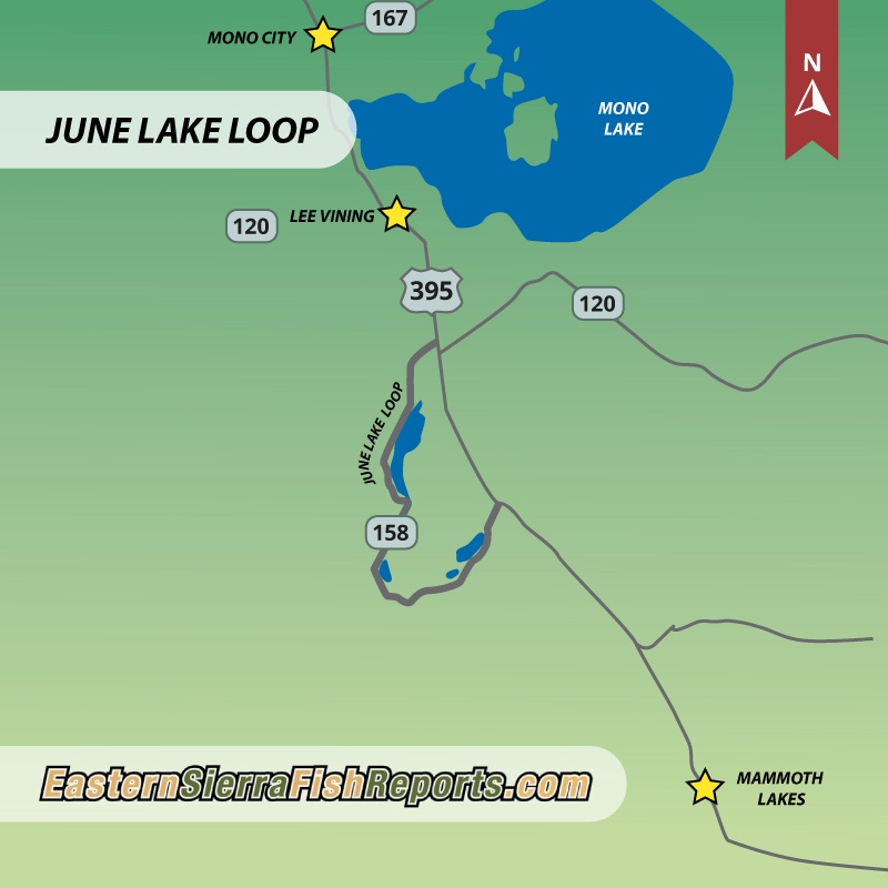 June Lake Loop - June Lake, CA - Fish Reports & Map