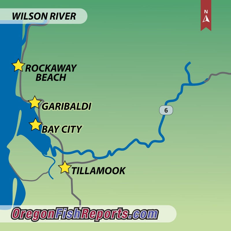 Wilson River Tillamook OR Fish Reports Map