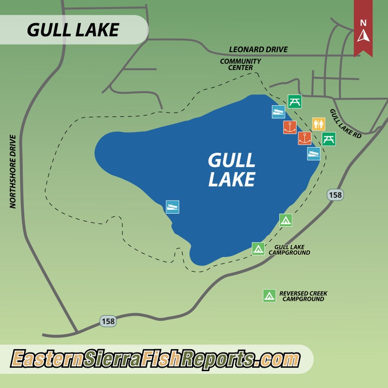 Gull Lake - Fish Reports & Map