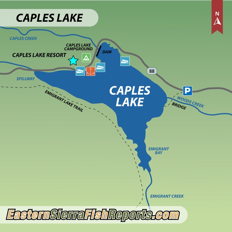 Caples Lake Fish Reports & Map