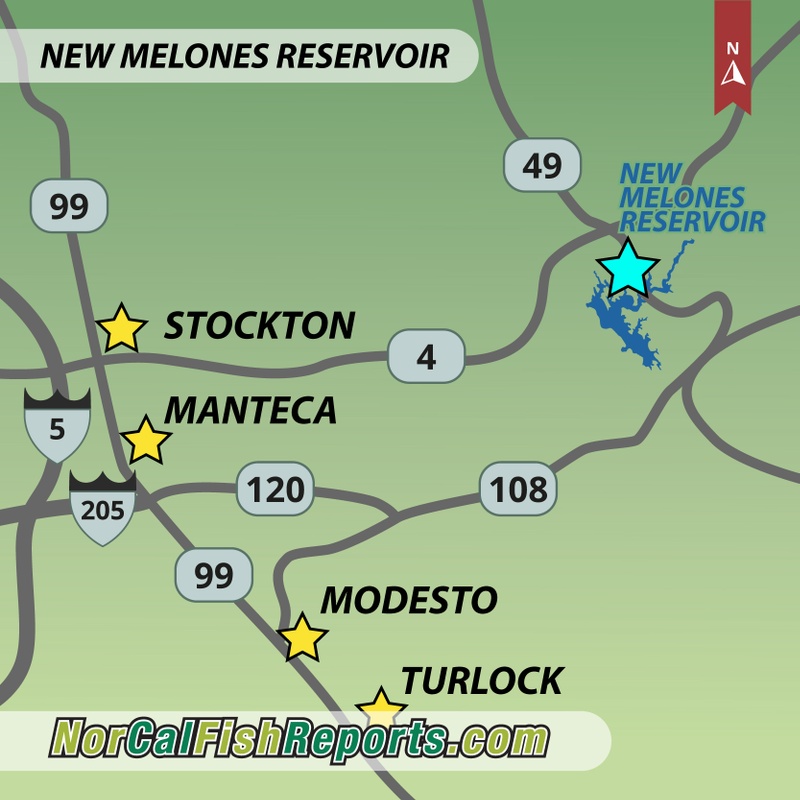 Catfish provided the best bite at New Melones this week - December