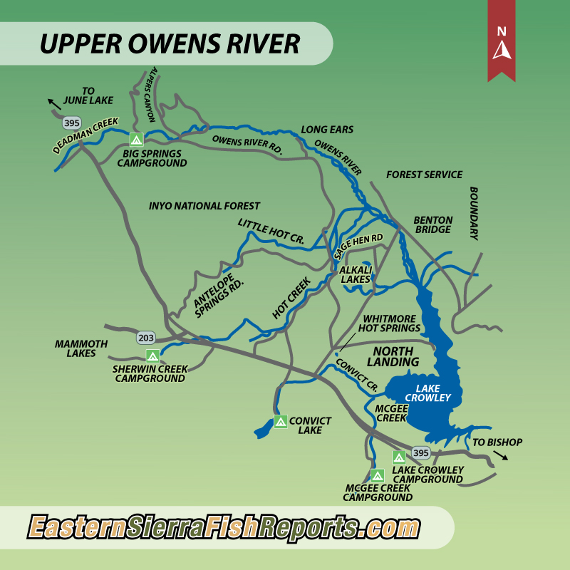 Owens River - Section 3 - Upper (above Crowley) - Fish Reports & Map