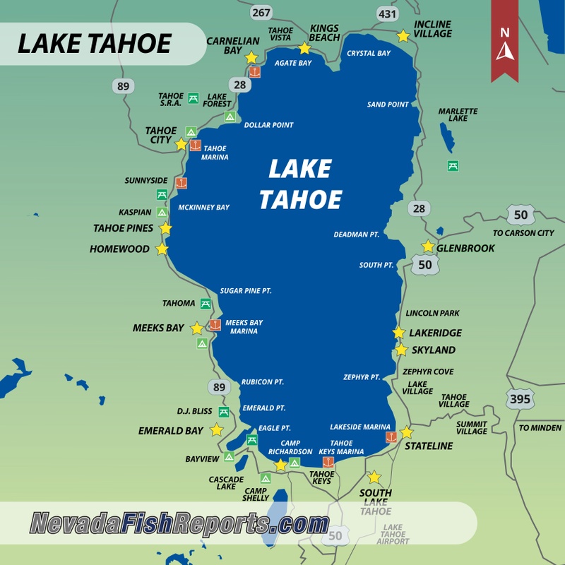 Lake Tahoe - Fish Reports & Map