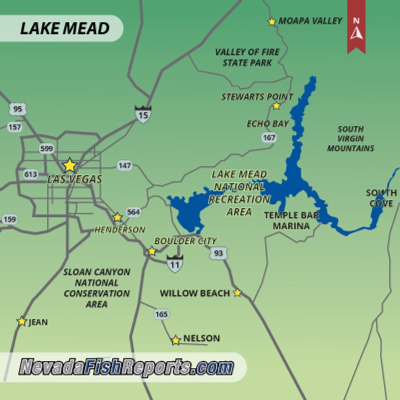 Lake Mead Fish Report - Boulder City, NV