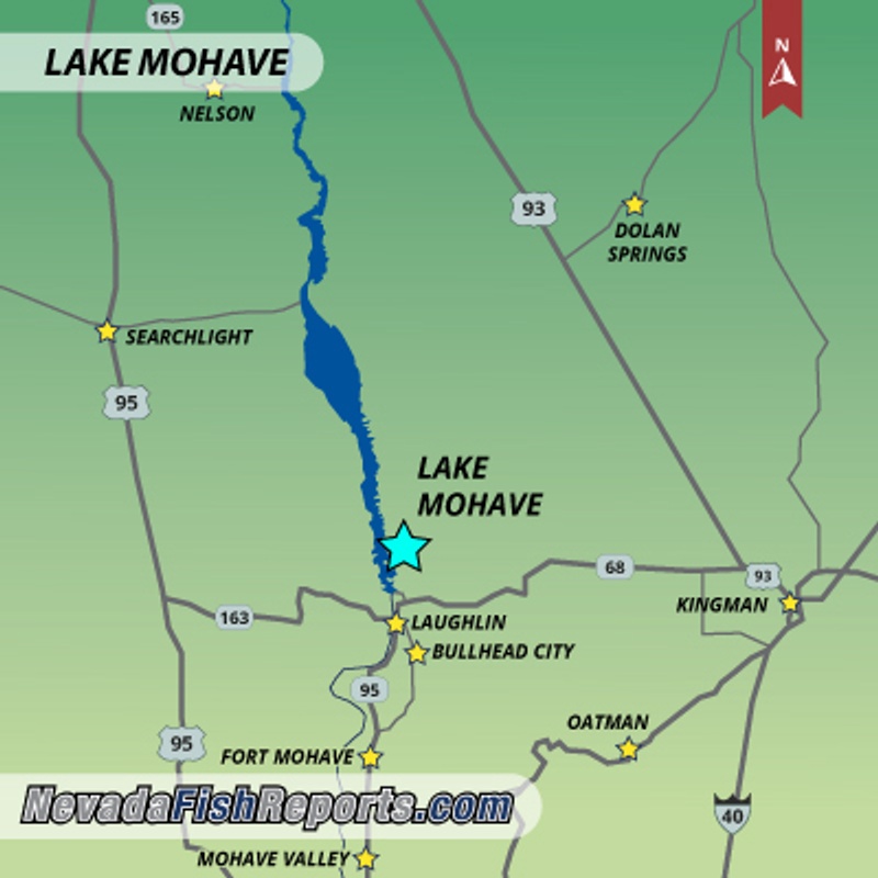 Lake Mohave - Cottonwood Cove, NV - Fish Reports & Map