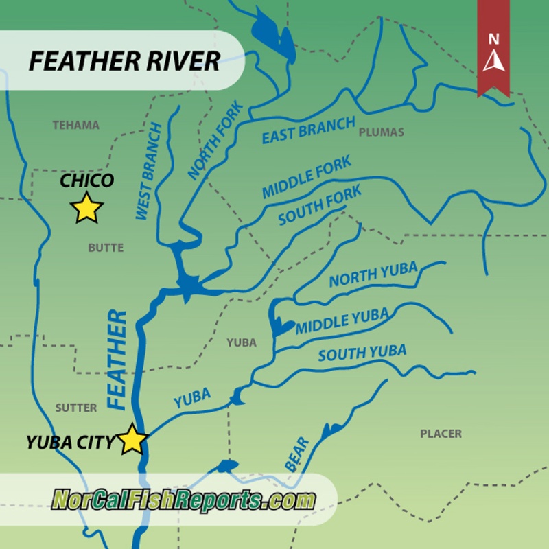 Feather River Fishing Report 2024 - Janey Lisbeth