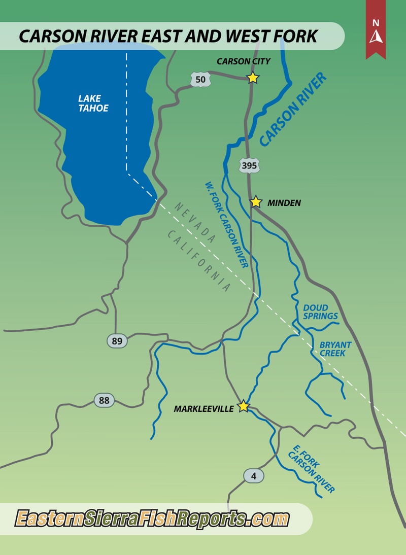 Carson River - Fish Reports & Map