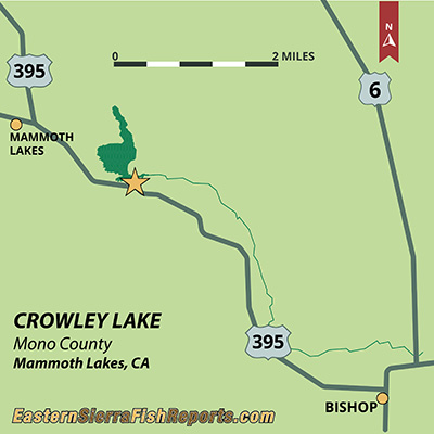 Crowley Lake - Fish Reports & Map