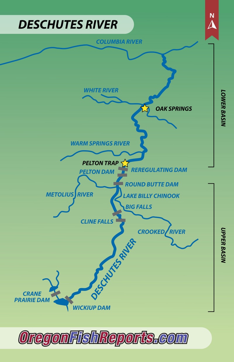 Upper Deschutes River Map Deschutes River- Upper - Fish Reports & Map