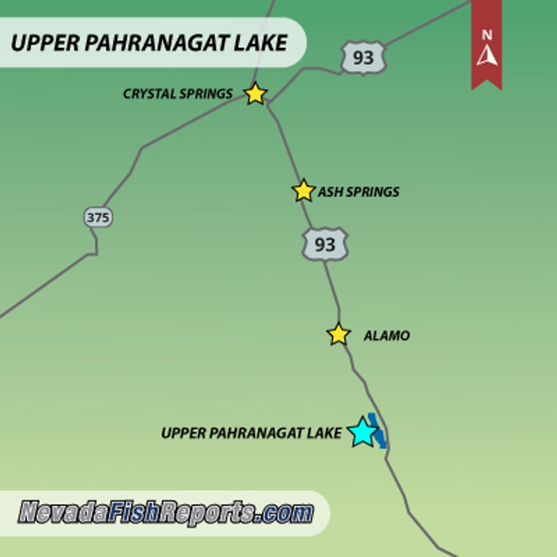 Upper Pahranagat Lake Alamo, NV Fish Reports & Map