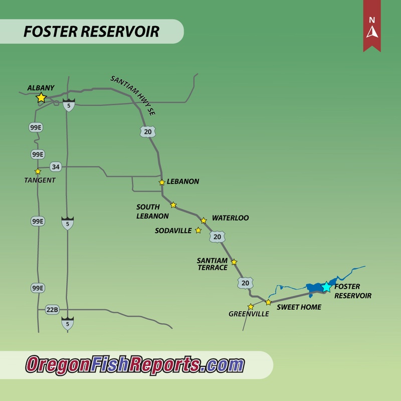 Foster Reservoir Fish Report - Sweet Home, OR (Linn County)