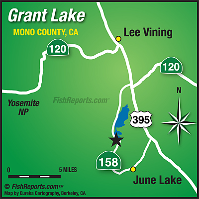 lake grant ca fish report june mono county reports freshwater