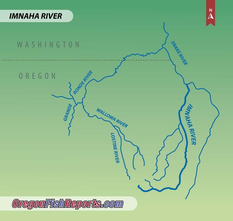 Imnaha River Fish Report - Imnaha, OR (Wallowa County)