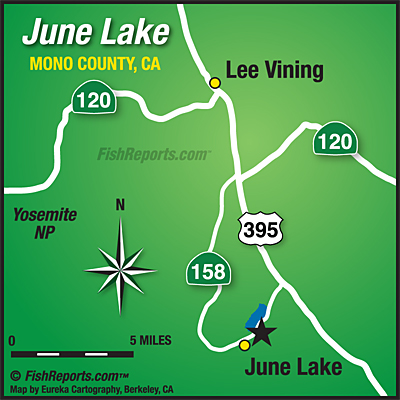 June Lake Fish Report - June Lake, CA (Mono County)