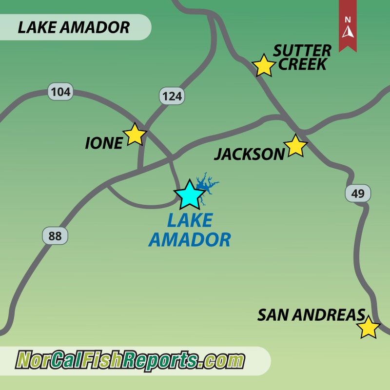 Lake Amador Fish Report - Lake Amador - 11.64lb Cutbow - January 3