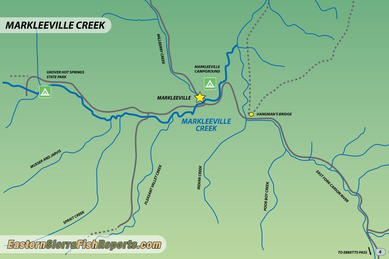 Markleeville Creek Fish Report - Markleeville, CA (Alpine County)