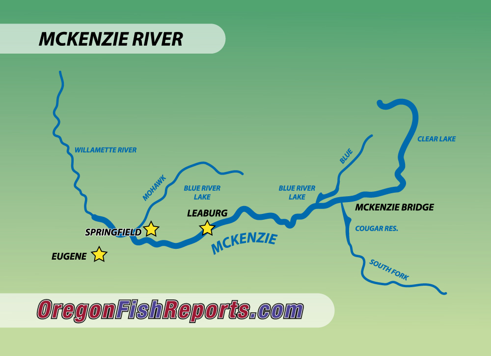 Fishing Report: Rainbows at Alton Baker, steelhead on the McKenzie