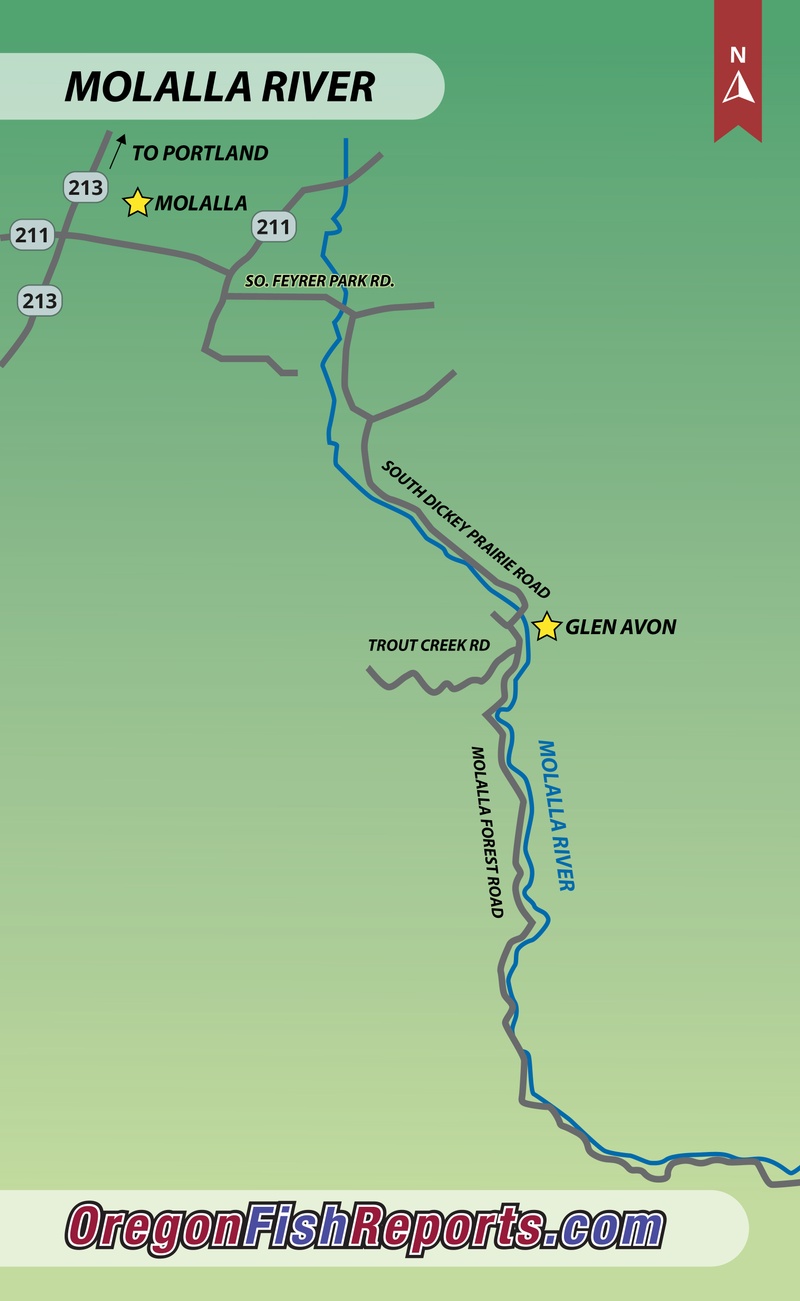 Molalla River - Molalla, OR - Fish Reports & Map