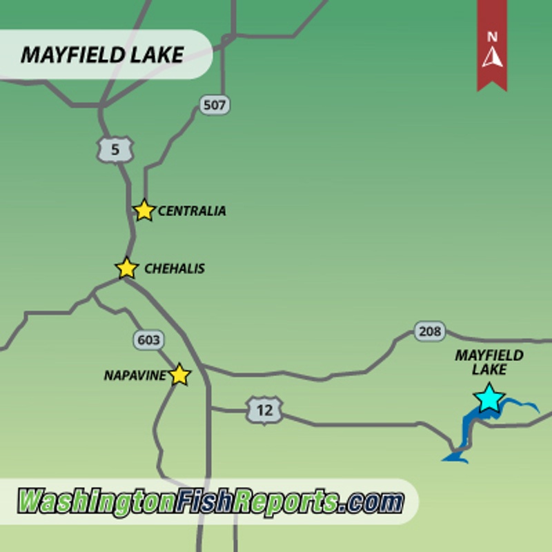 Mayfield Lake - Salkum, WA - Fish Reports & Map