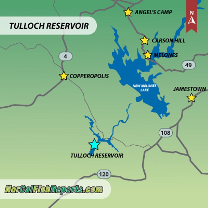 Tulloch Reservoir Fish Report Tulloch Reservoir Lake Tulloch