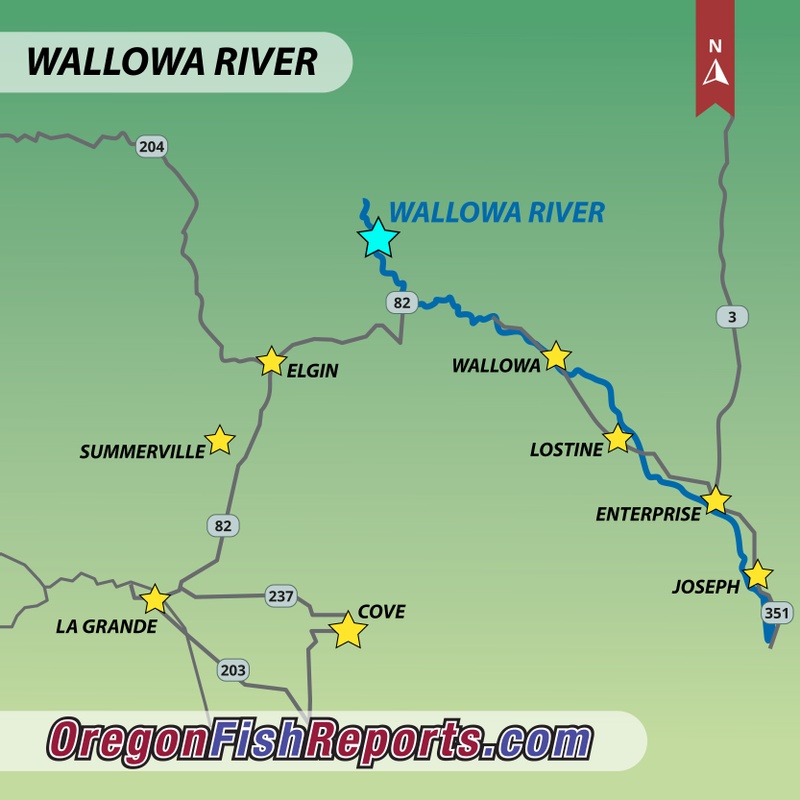 Wallowa River Steelhead Creel Report - Winding Waters River