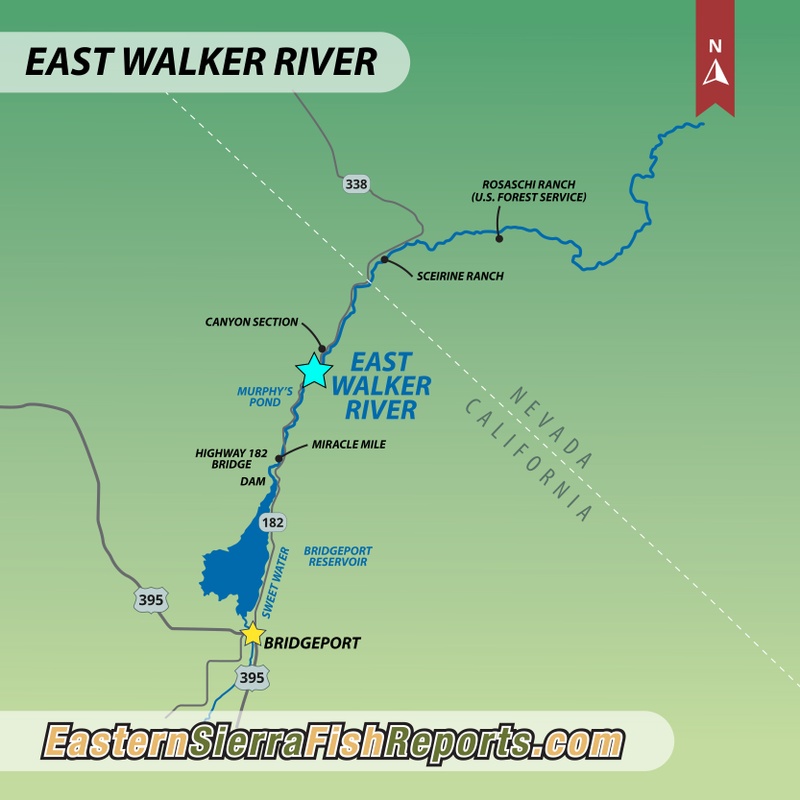 East Walker River (CA) Name