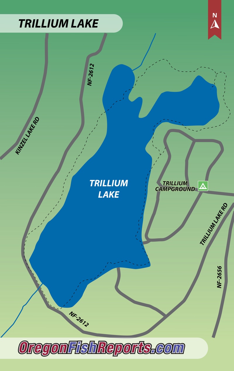 Trillium Lake - Fish Reports Map