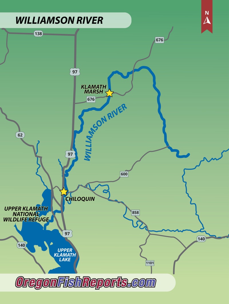 Williamson River - Fish Reports & Map