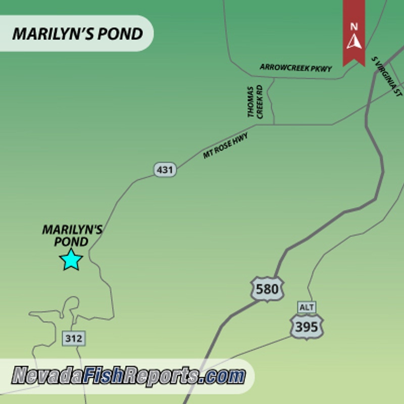 Marilyn's Pond Fish Report - Galena, NV (Washoe County)