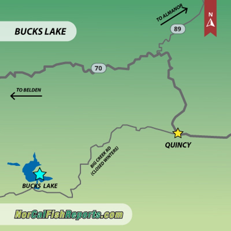 Bucks Lake - Fish Reports & Map