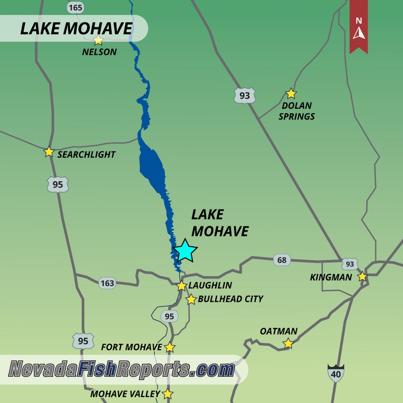 Lake Mohave Fish Reports & Map